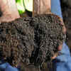 Topsoil – The base for large plantations