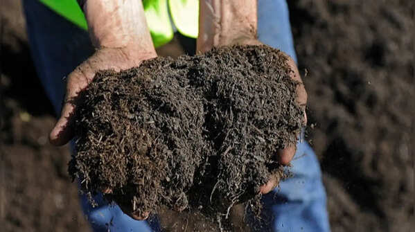 Topsoil – The base for large plantations