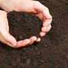 Potting soil – The choice of indoor gardeners