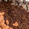 Article image for: Compost – The power soil amendment