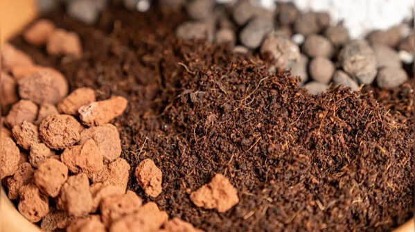 Compost – The power soil amendment