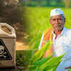 Article image for: Paraquat Debate: Why Is India Still Allowing A Herbicide Banned In 74 Countries?