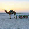 Allah <i class="tbold">bund</i>, Rann of Kutch, Gujarat, India
