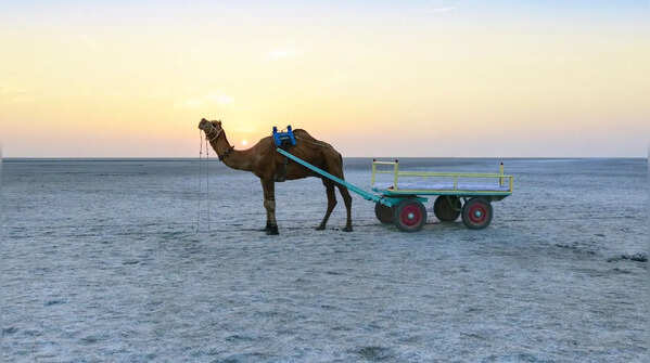 Allah Bund, Rann of Kutch, Gujarat, India