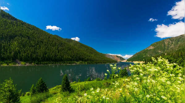 Earthquake Lake, Montana, U.S.