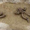 Article image for: 77 headless skeletons unearthed in Europe’s most mysterious Neolithic burial site in Slovakia