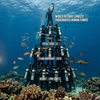 Article image for: Andaman Islands make history with a 73-foot underwater human tower, setting a Guinness World Record