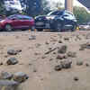 Article image for: Bengaluru's troubled Bannerghatta road gets a temporary fix, bigger upgrade awaited