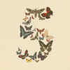 Anthropic Claude Fable 5