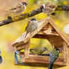 Avoid using chemical pesticides and herbicides