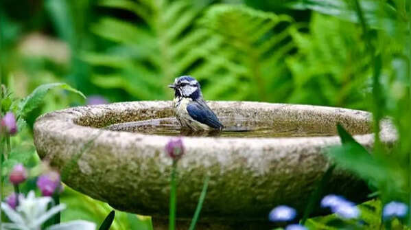 Provide access to water
