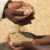 Food supply