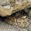 Human-made hiding spots