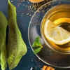 Article image for: Drink tea with mango leaves in traditional medicine