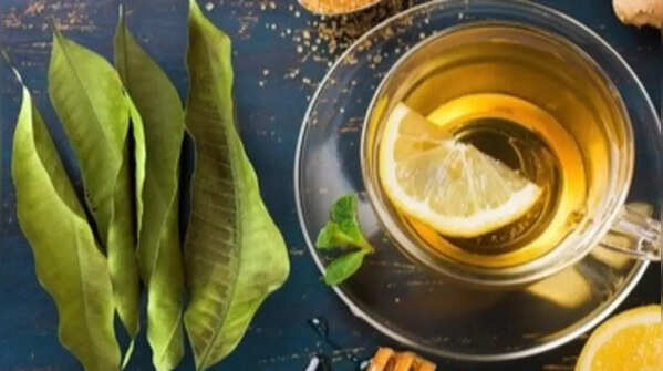 Drink tea with mango leaves in traditional medicine