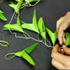 Natural mulch around your plants