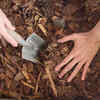 Compost leaves for better soil
