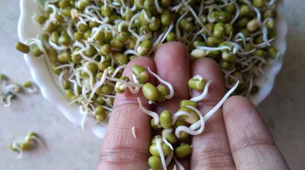 Sprouted moong