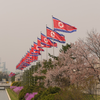 Room 39, North Korea