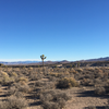 Area 51, United States