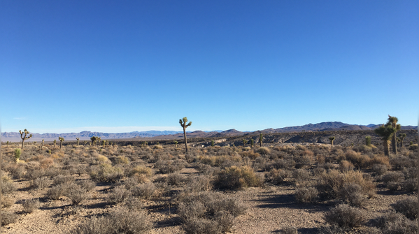 Area 51, United States
