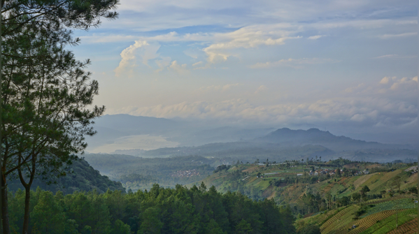 Where is Darma Valley?