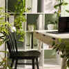 Biophilic Design