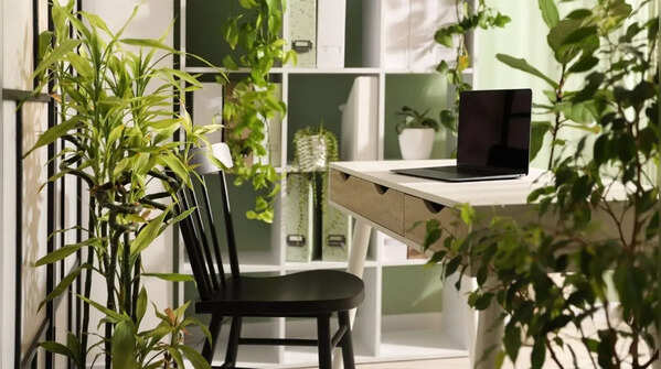 Biophilic Design