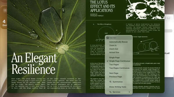 Visual intelligence through the lens