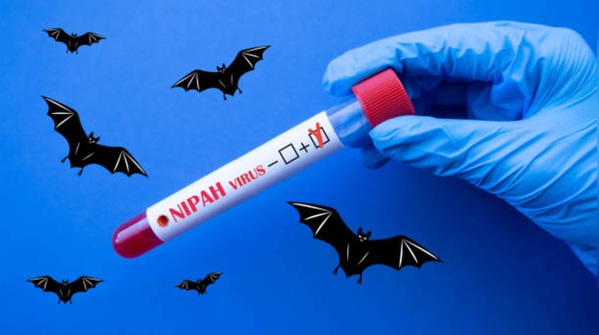 Nipah case confirmed in Kerala