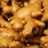 Ginger