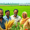 Article image for: Seeds of change: How India’s agriculture went high-output in 12 years