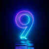 Birth Number 9