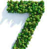 Birth Number 7