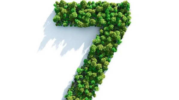 Birth Number 7
