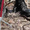 Can a snake bite through jeans or boots? Here’s what experts say and ...