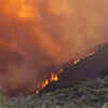 Article image for: Arizona wildfires scorch thousands of <i class="tbold">acre</i>s
