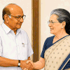 Is Sharad Pawar talking to both the Congress and the BJP?Sharad Pawar’s faction is weaker than ever, his succession...
