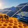 Article image for: How Bees helped engineers solve the flaw regarded as Solar panels’ biggest shortcoming since their invention