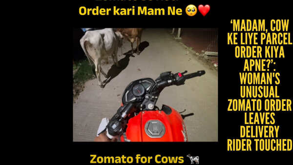 ‘Madam, cow ke liye parcel order kiya apne?’: Woman's Zomato order for three stray cows leaves delivery rider smiling