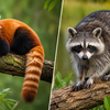  Explore Pets, Wildlife & Viral Animal News 
