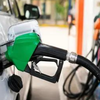 Can using E20 petrol lead to insurance claim rejection? What govt saidThe Ministry of Petroleum and Natural Gas clari...