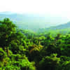 Article image for: Draft notification proposes 108 villages as eco-sensitive areas
