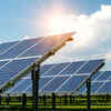Article image for: How 832 solar panels help one farm produce food, energy and extra income