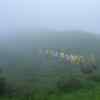 Karnataka News: Latest Karnataka News, Karnataka Breaking News ...