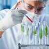 Article image for: Toxic plants yield enzymes that could power future medicines