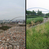 Article image for: In 2010, Shanghai turned a polluted industrial brownfield into Houtan Park
