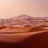 Article image for: UAE is turning desert sand into eco-friendly bricks, the method cuts cement needed for construction to nearly half