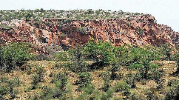 Aravalis can't be defined by height or any single criterion: SC panel