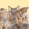 Article image for: Optical illusion personality test: What you see first reveals your hidden personality trait you refuse to reveal to others